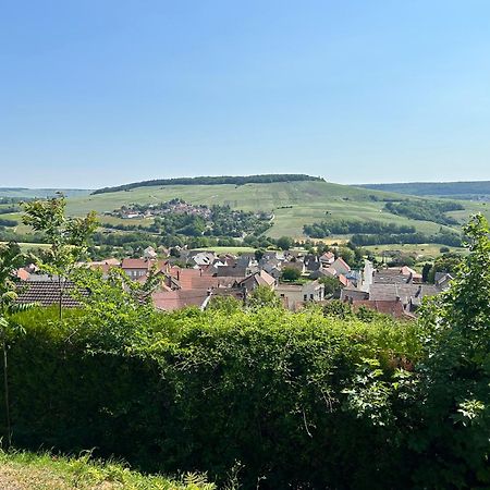 Chez Brigitte Villa Châtillon-sur-Marne Exteriör bild
