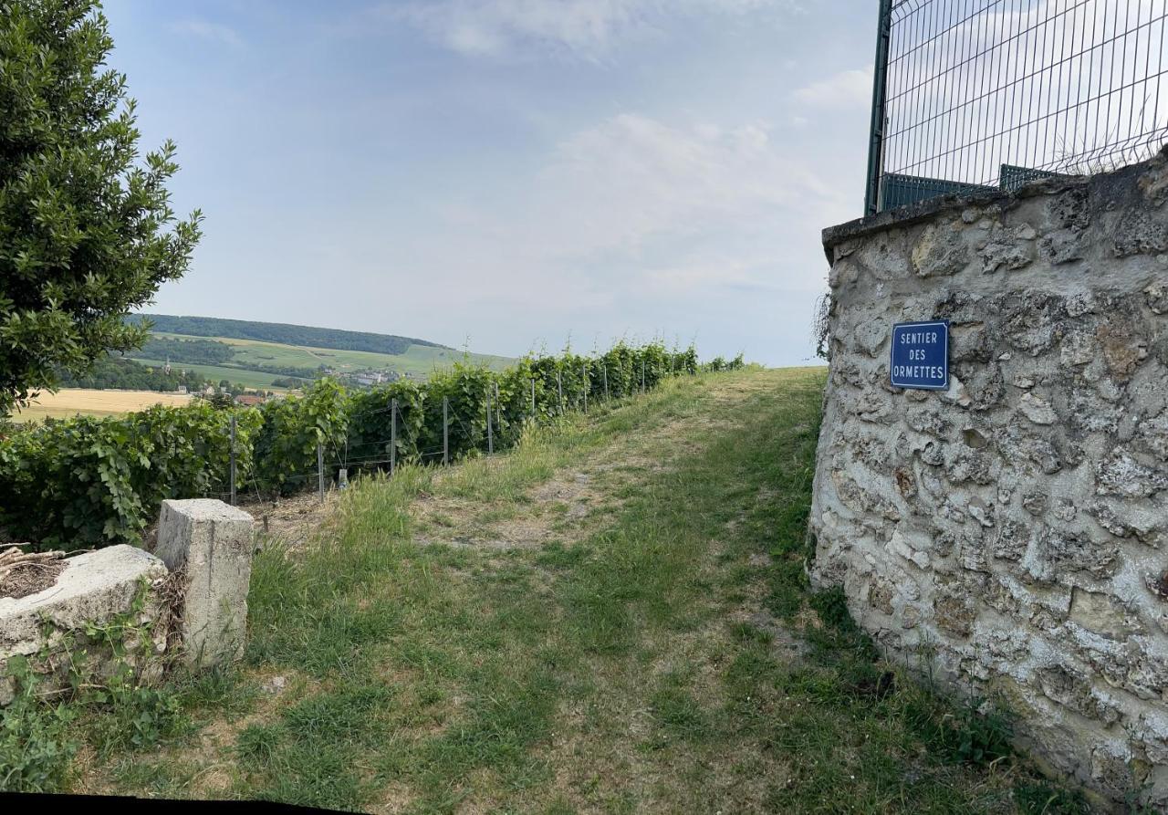 Chez Brigitte Villa Châtillon-sur-Marne Exteriör bild